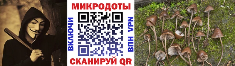 наркотики  Новоаннинский  Псилоцибиновые грибы мухоморы 