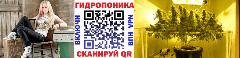 где можно купить наркотик  Новоаннинский  Марихуана Ganja 